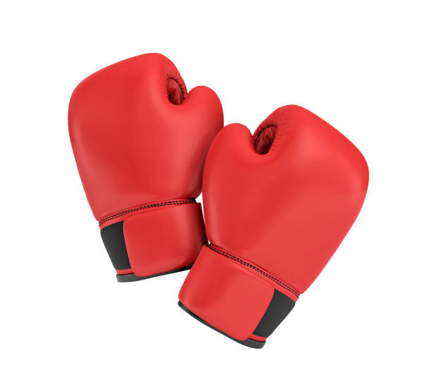 Boxe & Sports de Combat