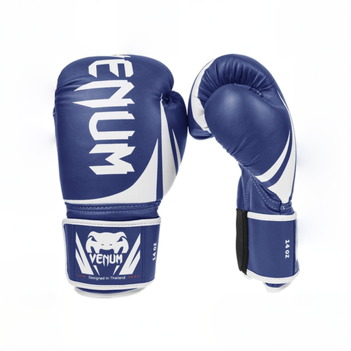 Gants de Boxe Venum