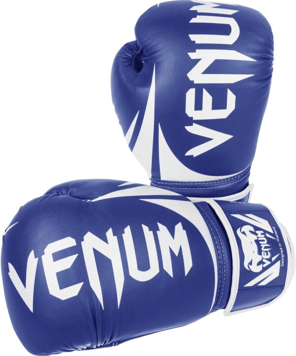 Gants de Boxe Venum 12 OZ